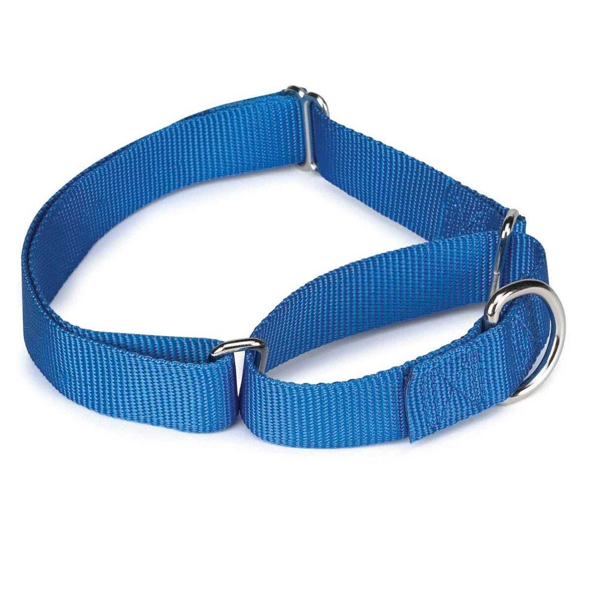 Guardian Gear Nylon Martingale Dog Collars 10-16 in Red