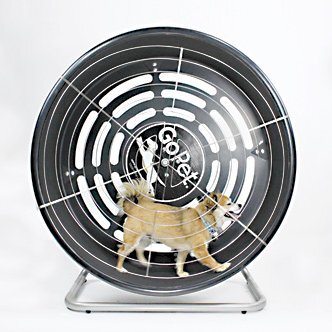 Premium Self-Powered Exercise Wheel for dogs Up to 25 lbs