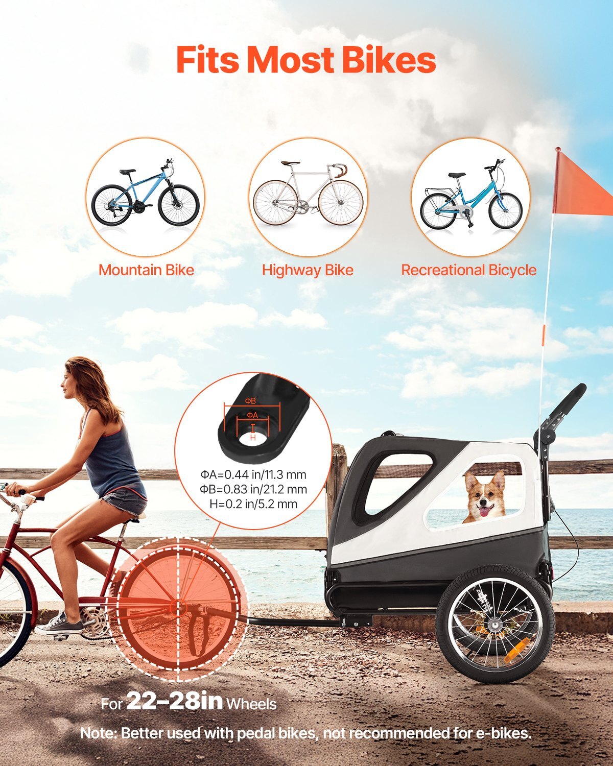 2-in-1 Dog Bike Trailer & Pet Stroller  Supports Up to 100 lbs | Foldable Frame, Universal Hitch, Safety Leash